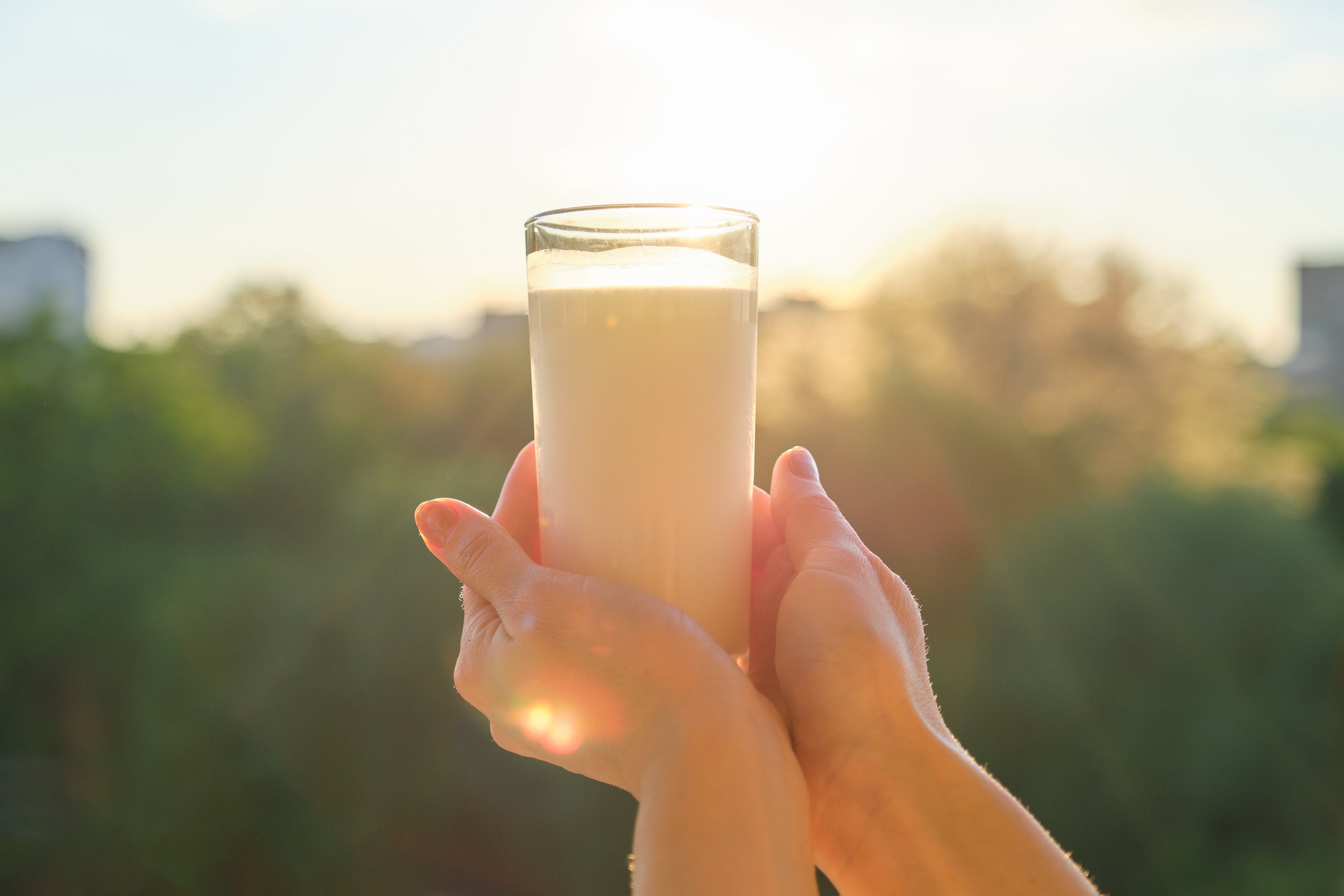 Why MYOM Oat Milk Is Wellness in a Glass