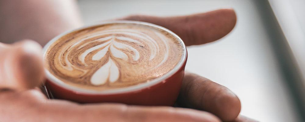 The Best Oat Drink for Coffee & Tea - MYOMs Plant-Based Perfection - MYOM Shop