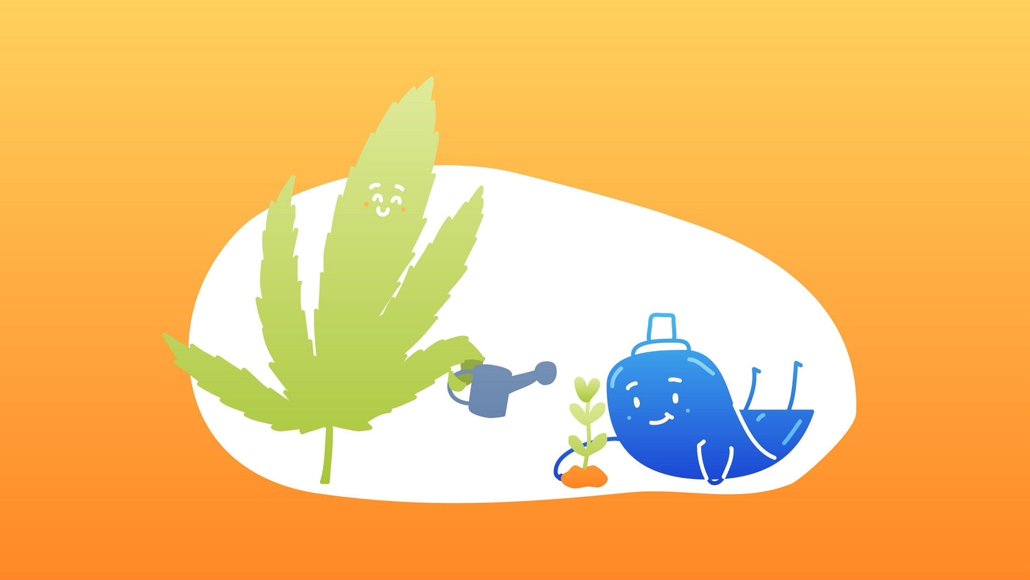 Oat Milk vs. Hemp Milk: Reviewing these fabulous dairy free milks - MYOM Shop